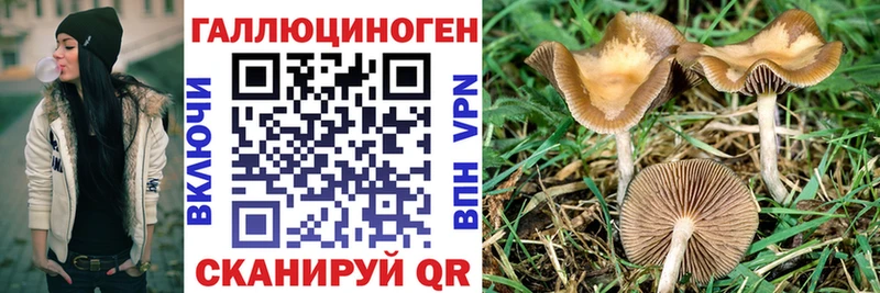 OMG ONION  Черногорск  Галлюциногенные грибы ЛСД 